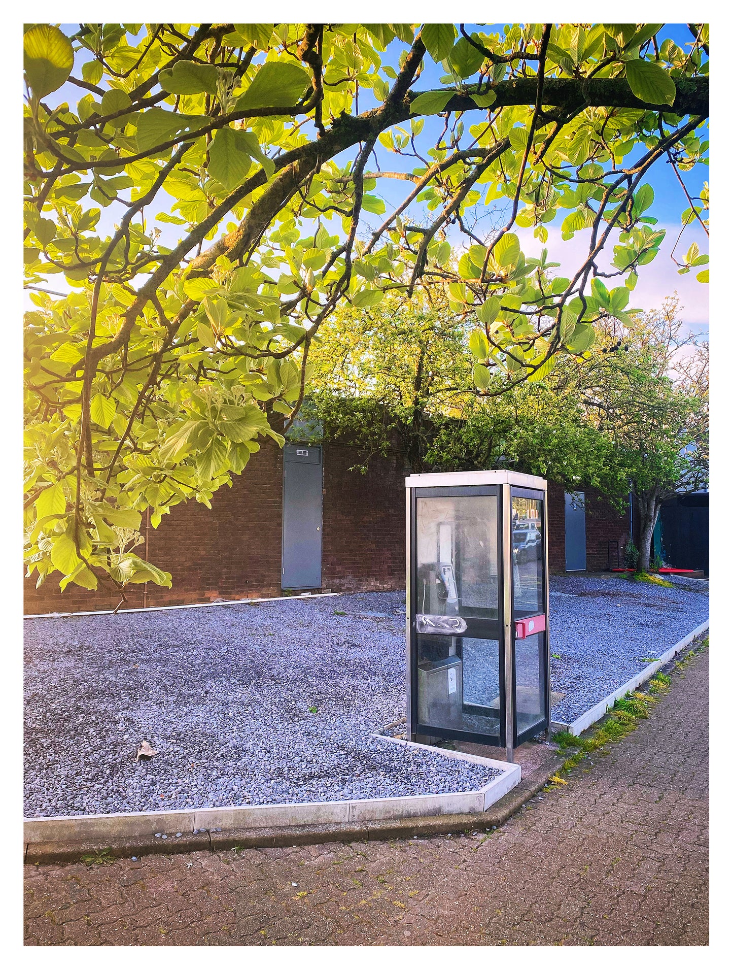 'Exeter Services'