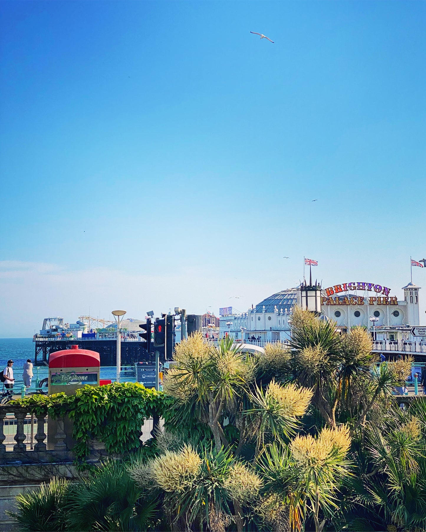 BRIGHTON PHOTOWALK