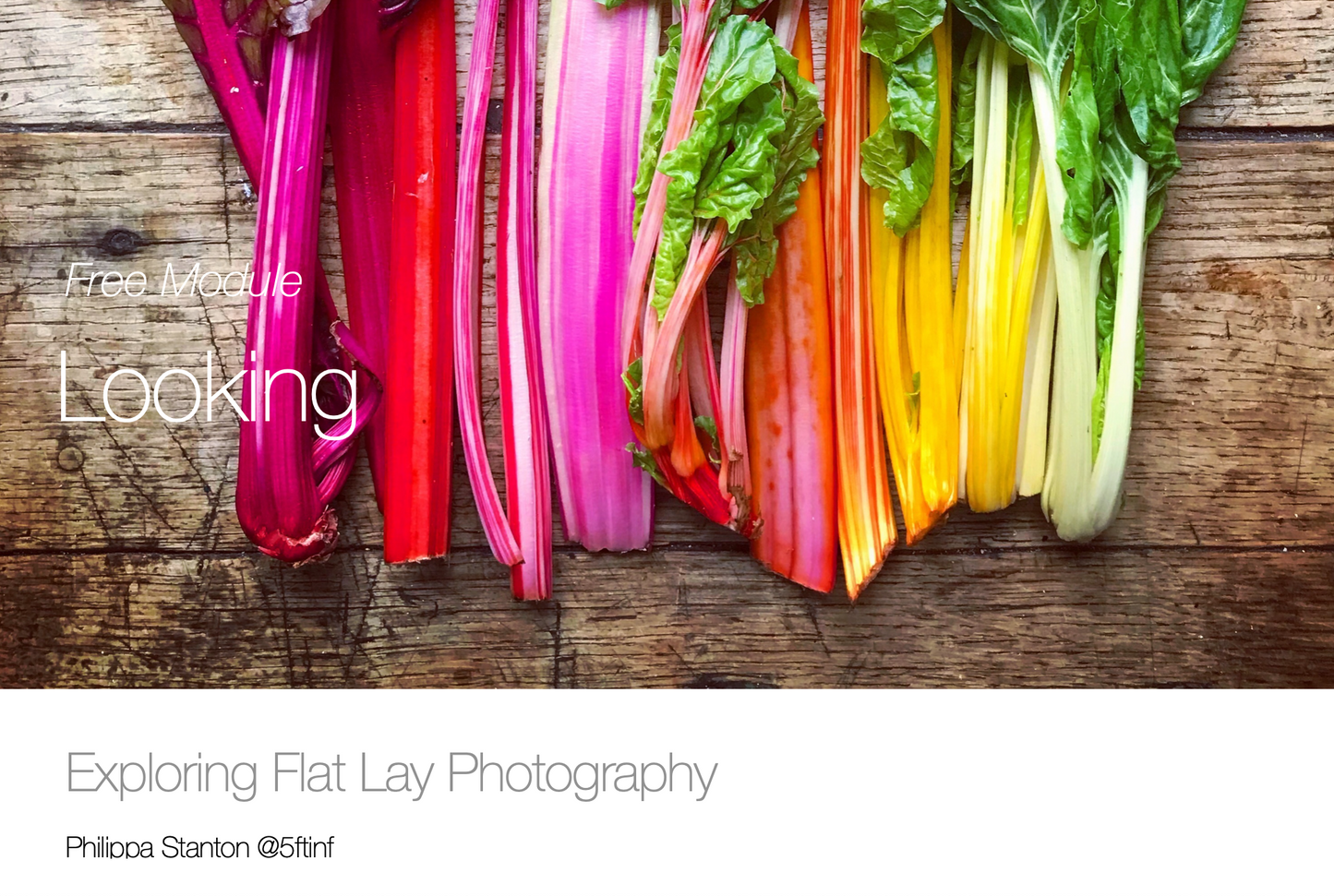 Exploring Flat Lay Photography: FREE First Module